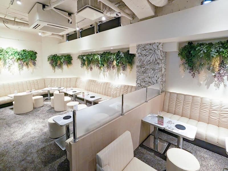ChouChou(シュシュ) 新橋烏森口店