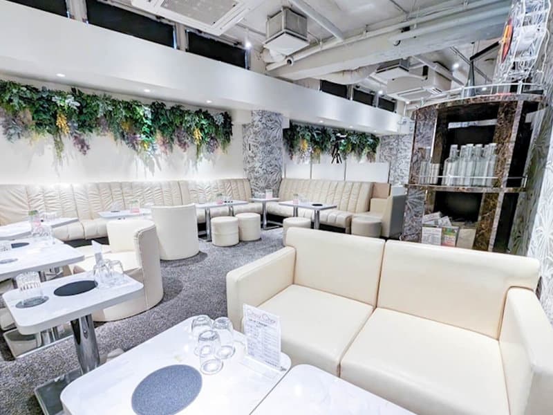 ChouChou(シュシュ) 新橋烏森口店 店内・店舗画像 3