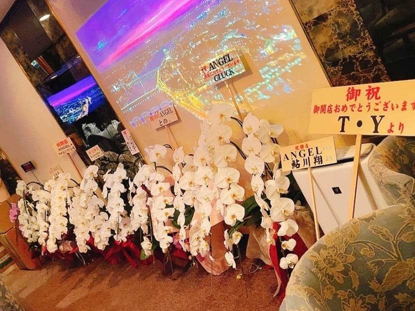 Girls bar ANGEL 店内・店舗画像 5