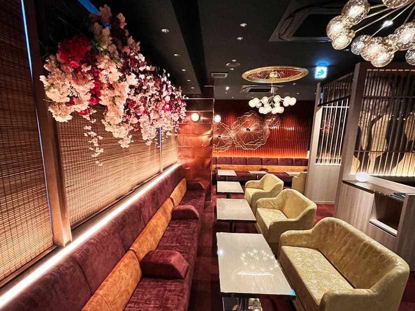 美人茶屋 新橋 店内・店舗画像 2