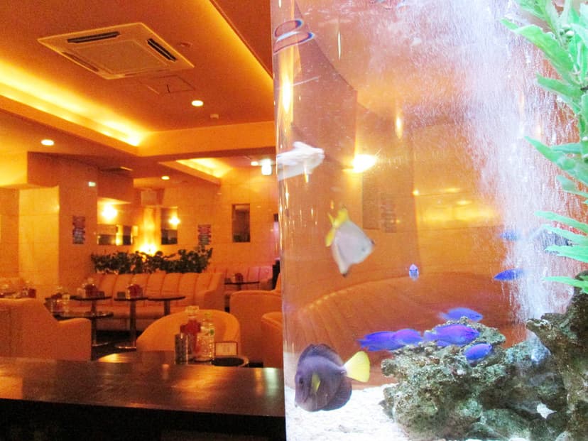 CLUB FOXEY 店内・店舗画像 3