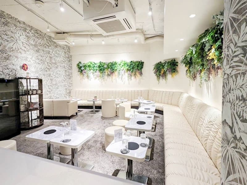 ChouChou(シュシュ) 新橋烏森口店 店内・店舗画像 4