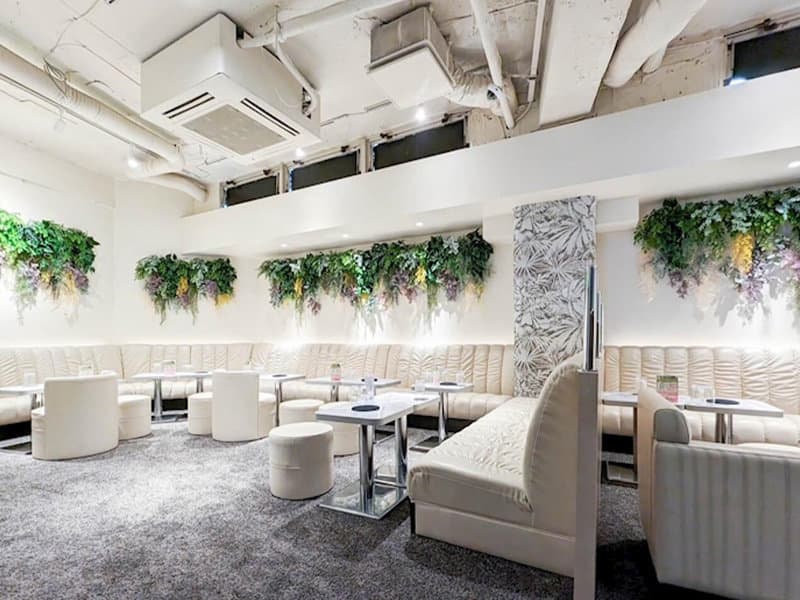 ChouChou(シュシュ) 新橋烏森口店 店内・店舗画像 2