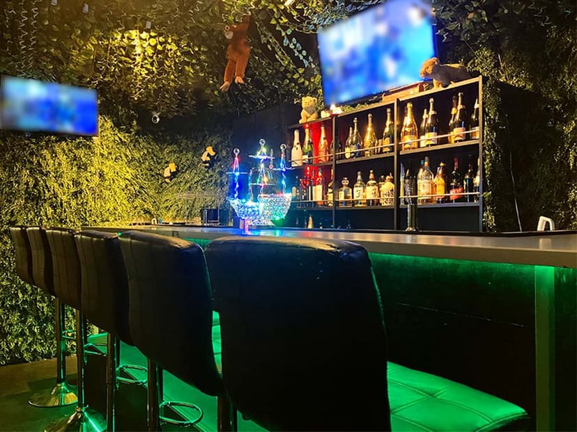 Girls Bar ALBA 店内・店舗画像 3